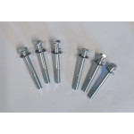 Tiger engine mount hanger bolts