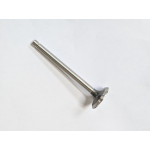 Exhaust valve (Tiger)
