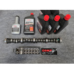 Camshaft kit for Tiger
