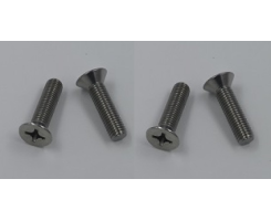 Door B-Post striker screws (2 pairs)