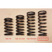 Front springs - standard Alpine (pair)