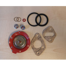Petrol pump rebuild kit Petrol pump rebuild kit