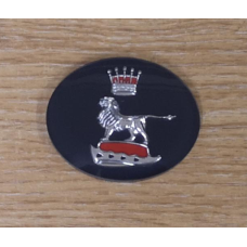 Grill centre badge insert Grill centre badge insert