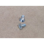 Brake drum screws (pair)