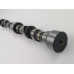 Camshaft for 1725
