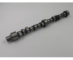 Camshaft for 1725