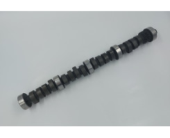 Camshaft for Tiger